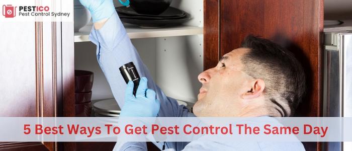 5 Best Ways To Get Pest Control The Same Day