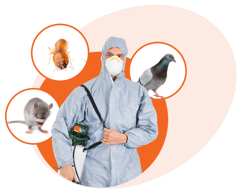 pest control Melbourne