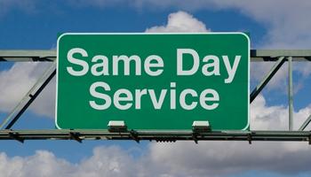 Reasons to Avail Same Day Pest Control Services